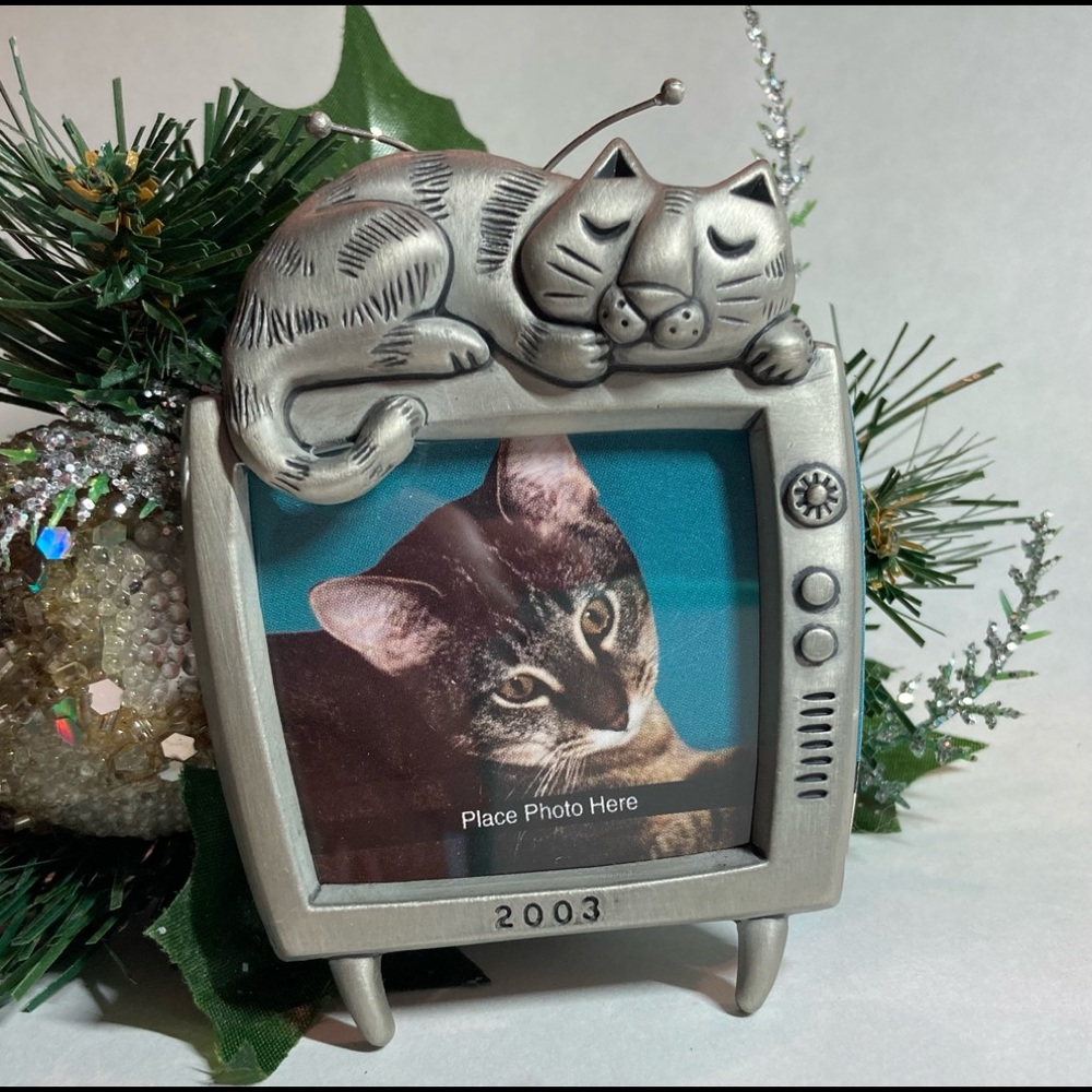 2003 Special Cat Hallmark Keepsake Ornament